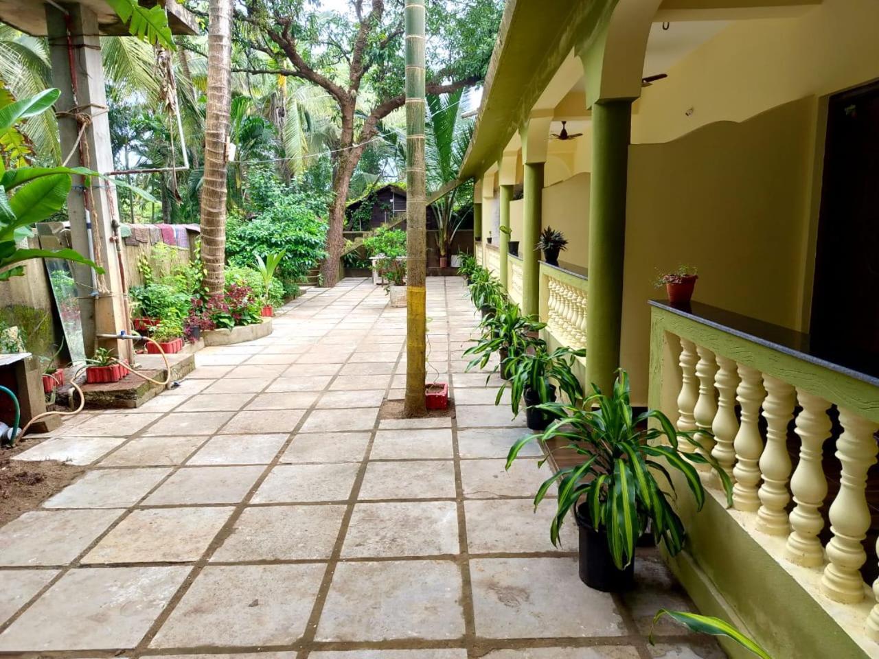 One Love Guest House Morjim Exteriér fotografie