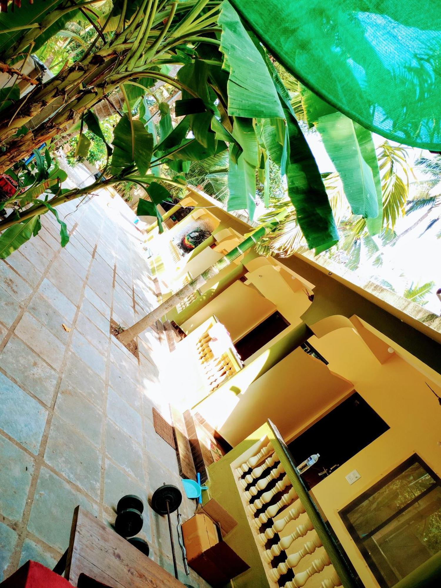 One Love Guest House Morjim Exteriér fotografie