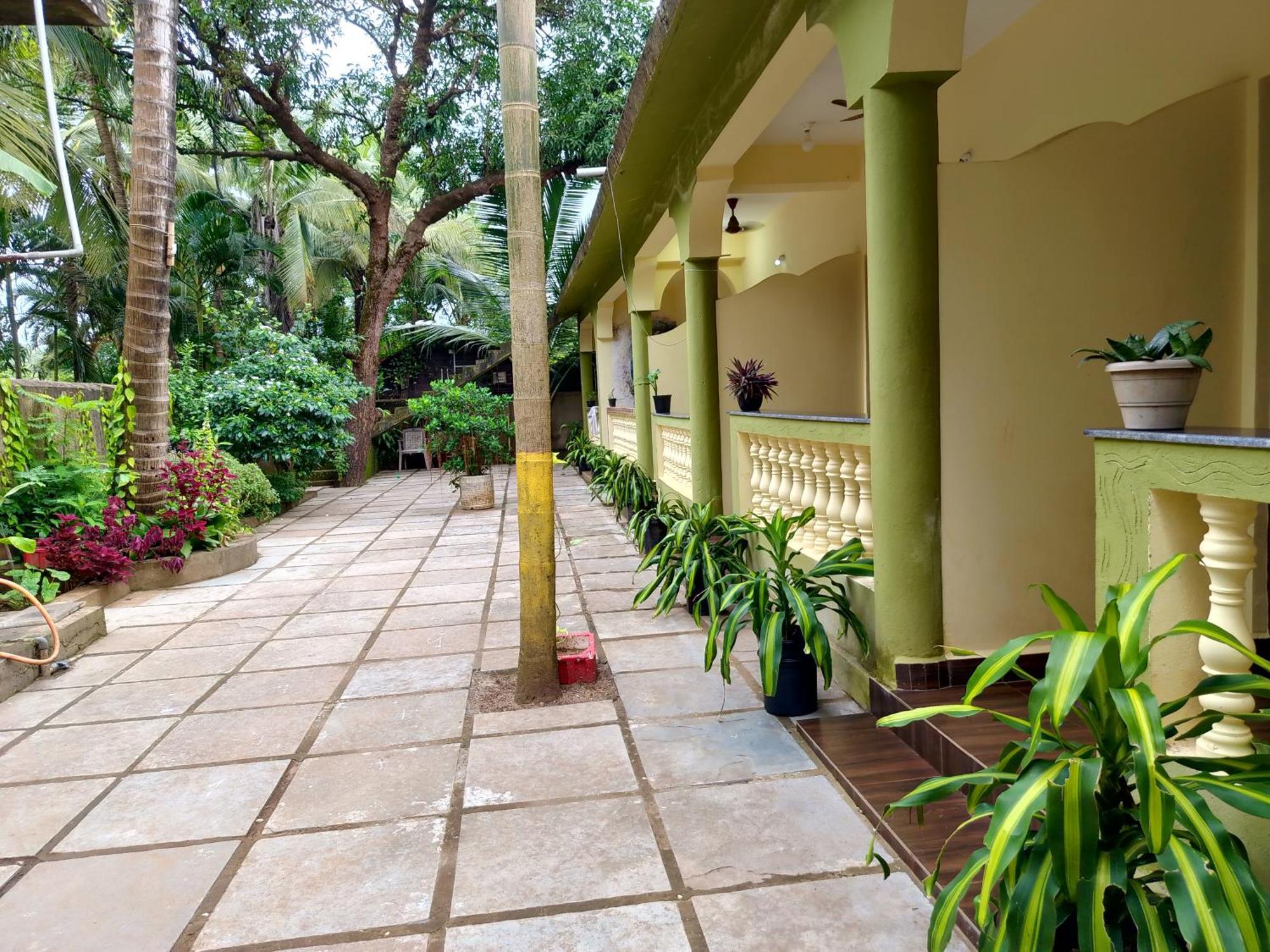One Love Guest House Morjim Exteriér fotografie